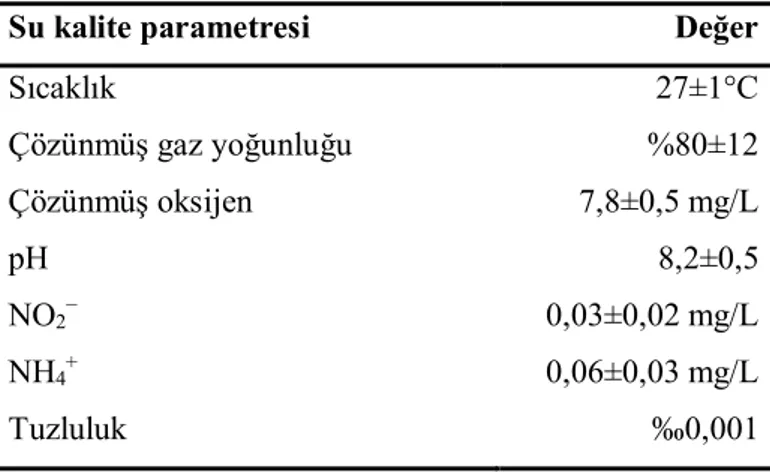 Çizelge 3.1. Denemelerde kullanılan suyun özellikleri 