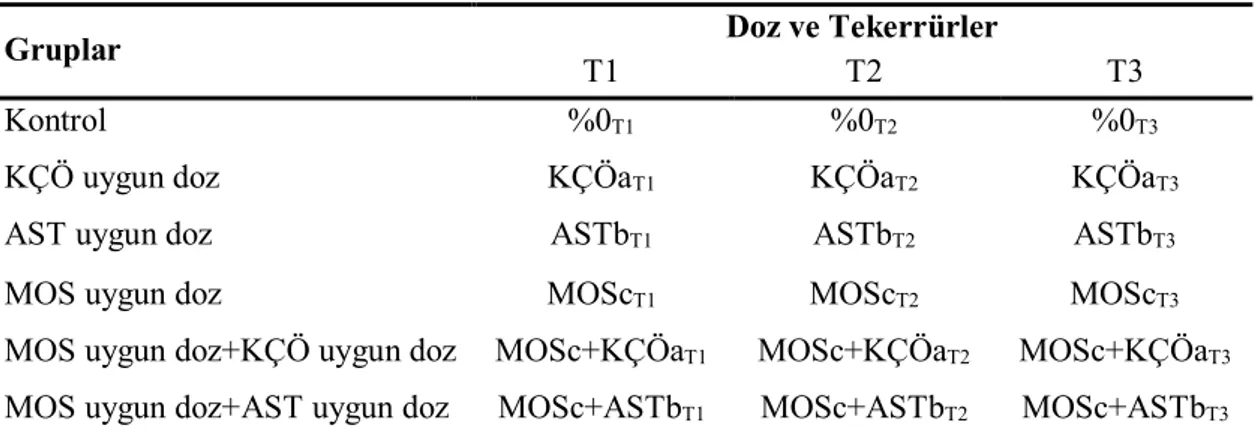 Çizelge 3.8. Deneme IV ön planı 