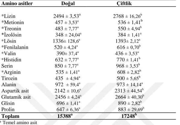 Çizelge 4.6. DiĢi kurbağa etinin amino asit profili (mg/100g)  