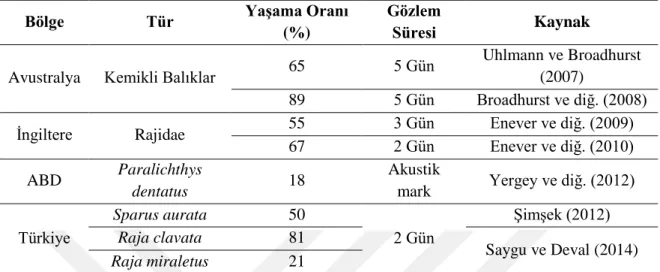 Çizelge  1.1.  (Devam)  Dünyada  trol  balıkçılığı  sonrası  farklı  balık  türlerinin  yaşama  oranları üzerine yapılan çalışmalar