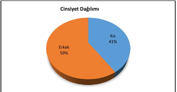 Şekil 6. Pilot Uygulama Grubu Cinsiyet Dağılımı Kız