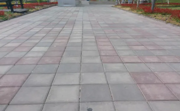Şekil 16. Park İçerisindeki Yürüme Yolları (E. Kaya, 2015). 