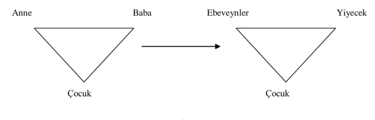 Şekil 4. Anne Çocuk Koalisyonu     A 