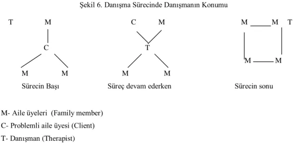 Şekil 6. Danışma Sürecinde Danışmanın Konumu 
