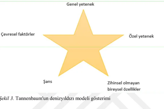 Şekil 3. Tannenbaum'un denizyıldızı modeli gösterimi 