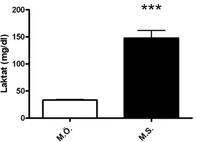 Şekil  9.  Elit  Boksörlerden  Müsabaka  Öncesi  (M.Ö.)  ve  Müsabaka  Sonrası  (M.S.)  Alınan Kan Örneklerinde Laktat Düzeyleri