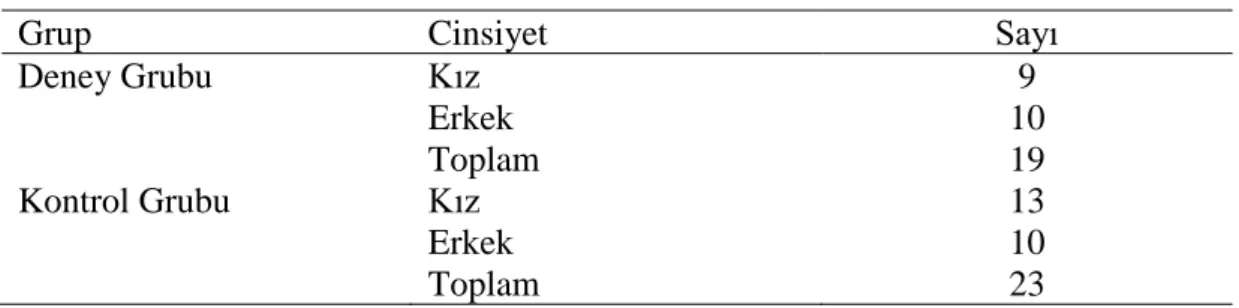 Tablo 3. Deney Gruplarının Özellikleri 
