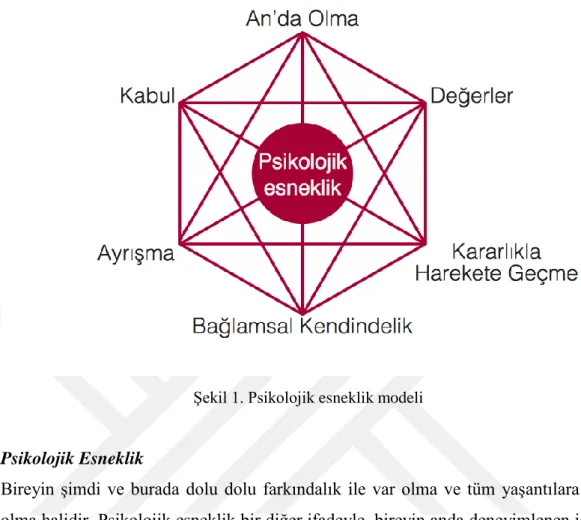 Şekil 1. Psikolojik esneklik modeli 