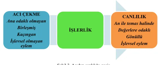 Şekil 3. Acıdan canlılığa geçiş