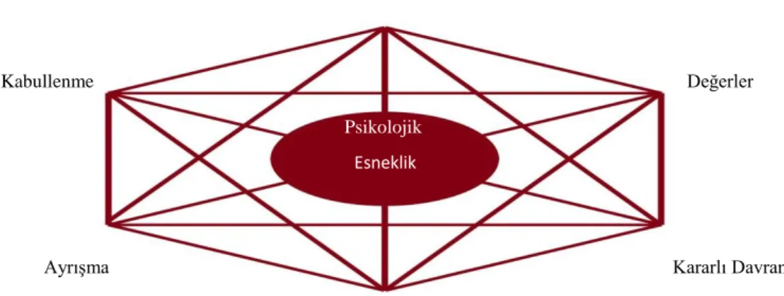 Şekil 1. Psikolojik Esneklik Kavramı Modeli 