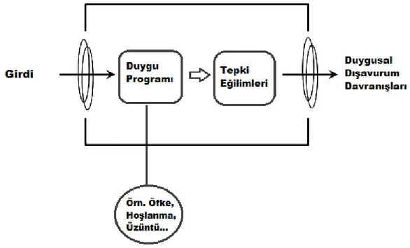 Şekil 2. Gross ve John’un Duygusal Dışavurum Modeli 