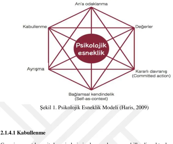 Şekil 1. Psikolojik Esneklik Modeli (Haris, 2009) 