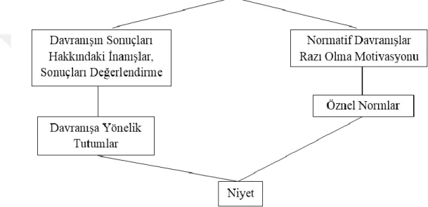 Şekil 1. Davranışsal Niyetin Öncülleri 