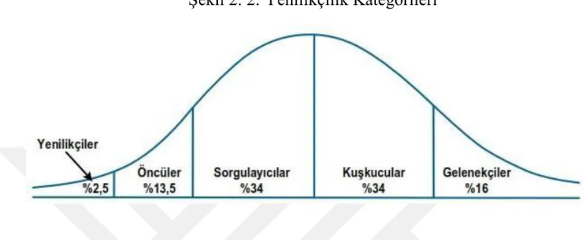 Şekil 2. 2: Yenilikçilik Kategorileri 