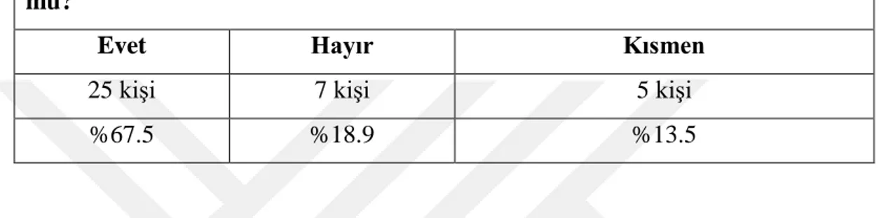 Tablo 4.1: Ekonomik Hayat ve Motivasyon 