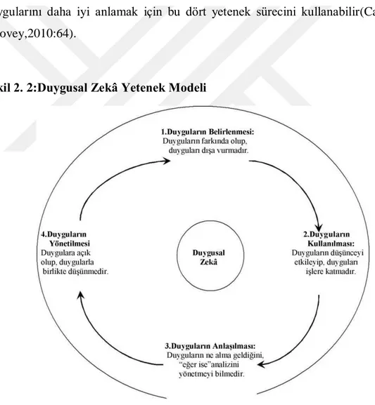 Şekil 2. 2:Duygusal Zekâ Yetenek Modeli