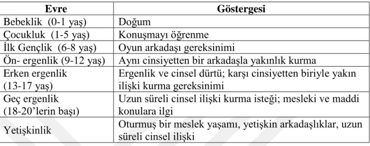 Tablo 2.1.4.6.1: Sullivan’ın Gelişim Evreleri 