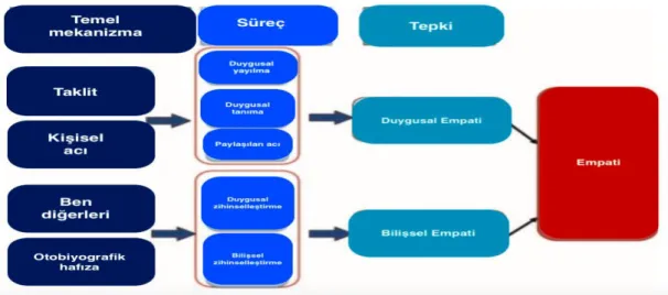 Şekil 4: Bilişsel ve duygusal empati ağlarına katılan bileşenler (Shamay-Tsoory, 2011)