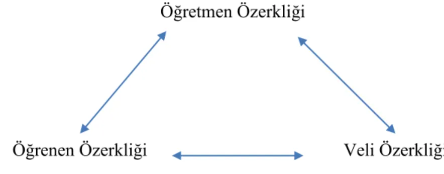 Şekil 2.2: Özerklik ve etkileşimler 
