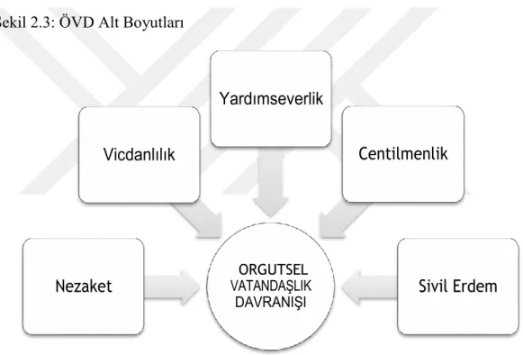Şekil 2.3: ÖVD Alt Boyutları 