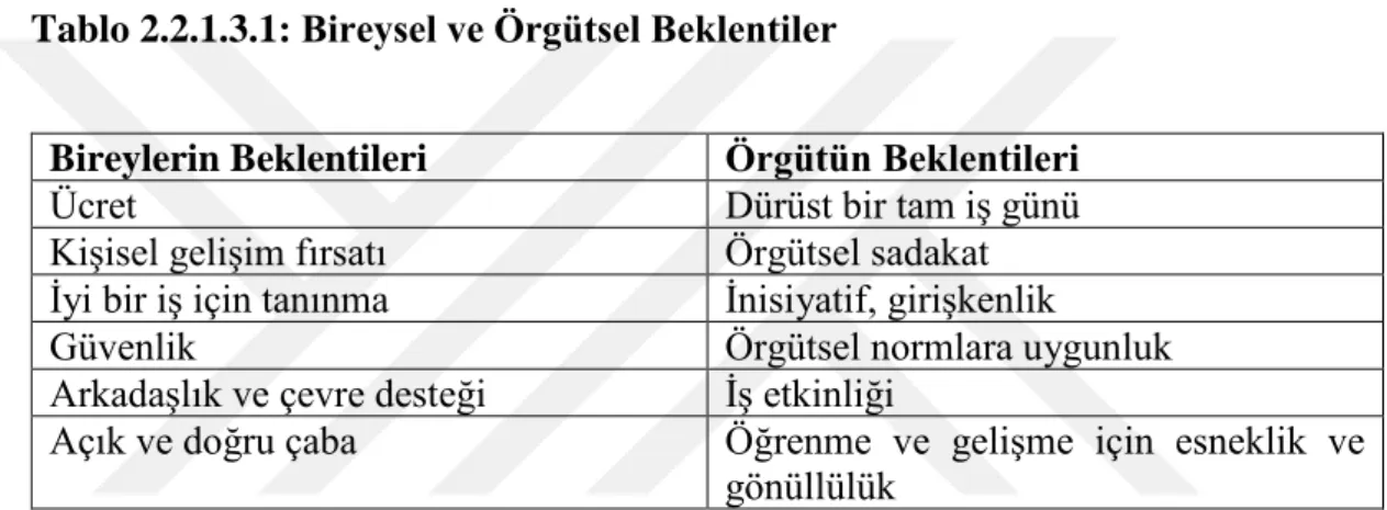 Tablo 2.2.1.3.1: Bireysel ve Örgütsel Beklentiler 