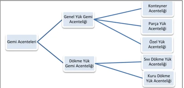 ġekil 1. 6. Gemi Acentelerinin Uzmanlık Alanına Göre Gruplandırılması  Gemi  acenteleri  deniz  ulaştırma  işletmelerine  verdikleri  hizmetler  yönünden  büyük  kolaylıklar  sağlamaktadır