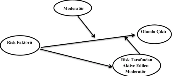 ġekil 1.4. Moderatör Model  