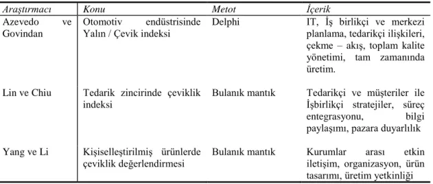 Tablo 2-1: Indeks Literatür 