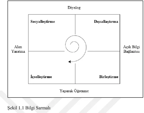 Şekil 1.1 Bilgi Sarmalı 