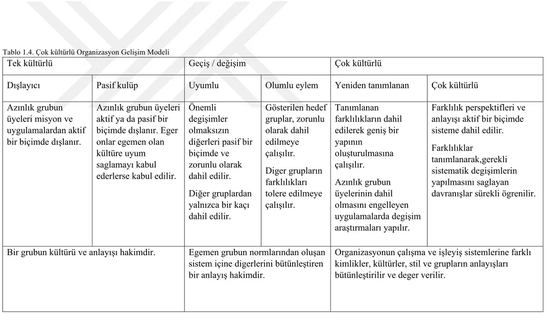 Tablo 1.4. Çok kültürlü Organizasyon Gelişim Modeli 