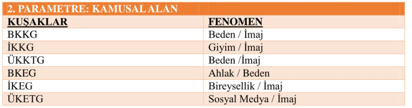 Tablo 3. Özel Alan Parametresi Fenomenleri 