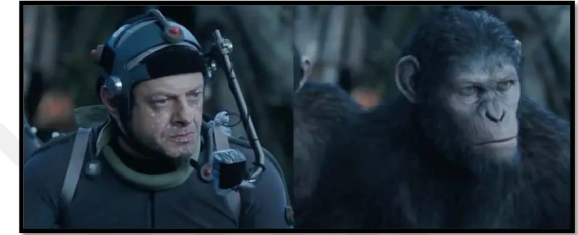 Foto 2.8: &#34;Planet Of The Apes&#34; Maymunlar Cehennemi Filminde Andy Serkis  (Ceasar) Üzerinde Motion Capture (Hareket Yakalama) Uygulaması 