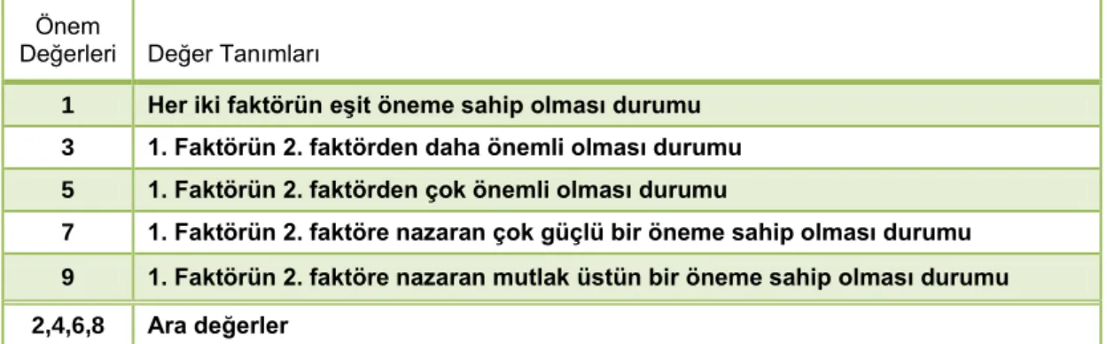 Tablo 2.1 - AHS Değerlendirme Skalası 