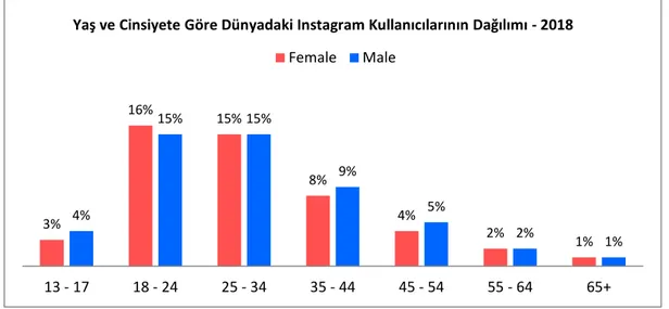 Tablo 2. 13: Yaş ve Cinsiyete Göre Dünyadaki Instagram Kullanıcılarının Dağılımı -  2018 