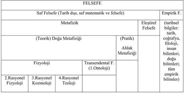 Tablo 2.3. Felsefe (bilimler) Fakültesinin bölümlendirilmesi 