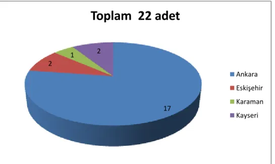 ġekil 6.3. Ġç Anadolu Bölgesi 22206728Katılımcı Sayısı 65 İç AnadoluMarmaraAkdenizEge Güneydoğu AnadoluKaradeniz17212Toplam  22 adetAnkara EskişehirKaramanKayseri