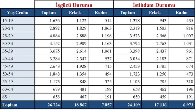 Tablo 1.1 .8  Türkiye  İstatistik  Kurumu  internet  sitesinde  yer  alan  adrese  dayalı  kayıt  sistemi  verilerine  dayanarak  oluşturulmuştur