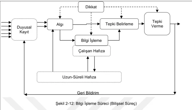 Şekil 2-12: Bilgi İşleme Süreci (Bilişsel Süreç) 