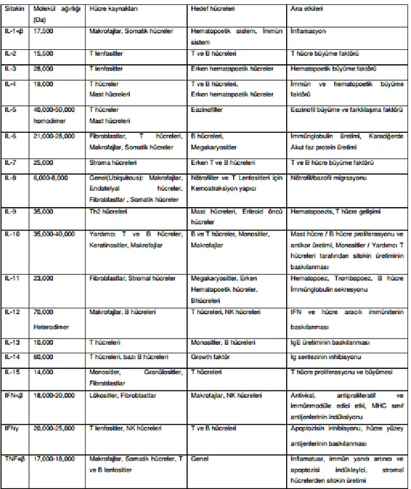 Tablo 1: Başlıca Sitokinler 