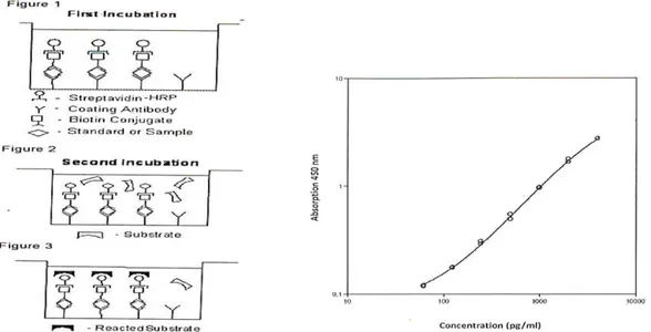 Şekil 3: HGF Ölçüm Kiti Reaksiyon Şeması   Şekil 4: HGF Ölçüm Kiti Spektrofotometre                                            Eğrisi 