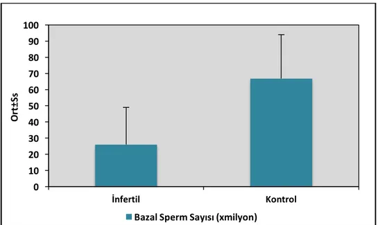 Şekil 6: Gruplara Göre Bazal Sperm Morfoloji Yüzdesi Dağılımı 