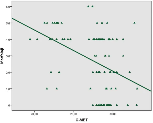 Şekil 12: Sperm Morfoloji Yüzdesi ile C-met Ekspresyon Düzeyi Arasındaki İlişkinin  Dağılımı 