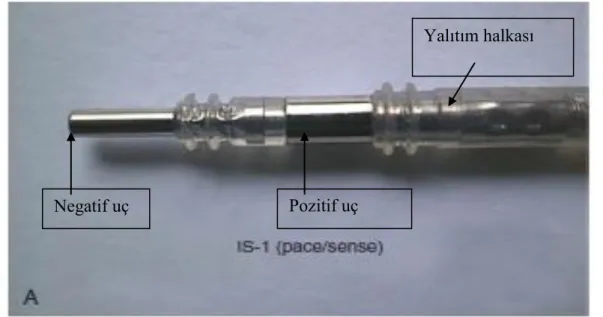 Şekil 6: IS-1 pace/sense konnektör iğnesi.   