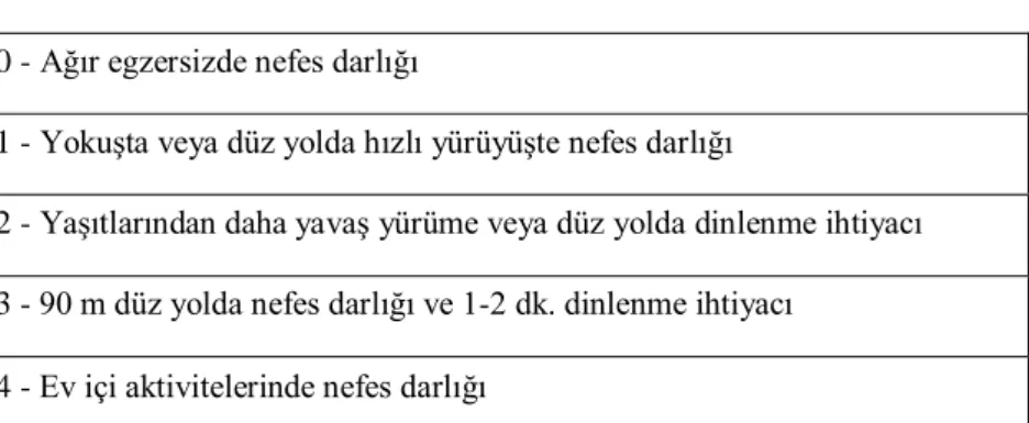 Tablo 2. mMRC dispne skorlaması 