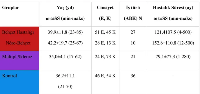 Tablo 4.1. Çalışmaya alınan bireylerin bazı demografik özellikleri 