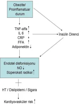 ġekil 8 Endotel Disfonksiyonu ve Kardiyovasküler Risk.  (TNF-alfa: Tumör nekrotizan  faktörü-alfa;  FFA:  Serbest  Yağ  Asitleri;  IL  6,  interlökin  6;  NO:  Nitrik  Oksit)  ( S.A