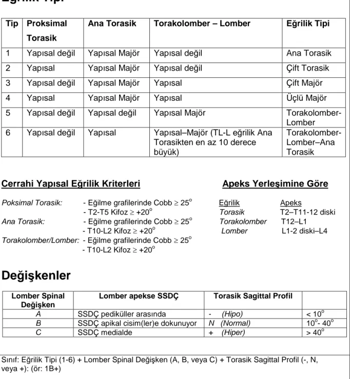 Şekil 14: Lenke sınıflamasında tavsiye edilen takip formu.