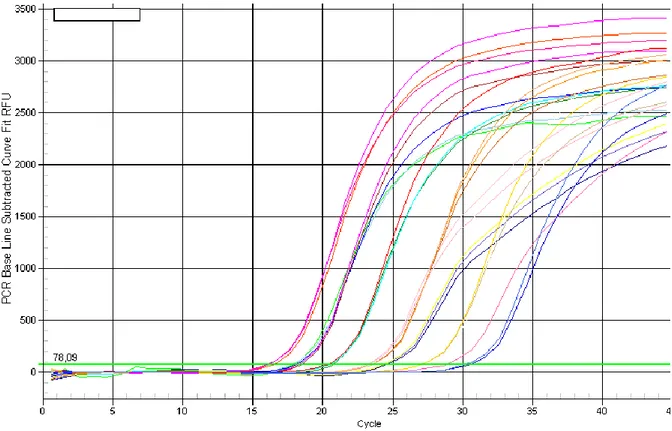 Şekil 9: RT-PCR grafiği. 