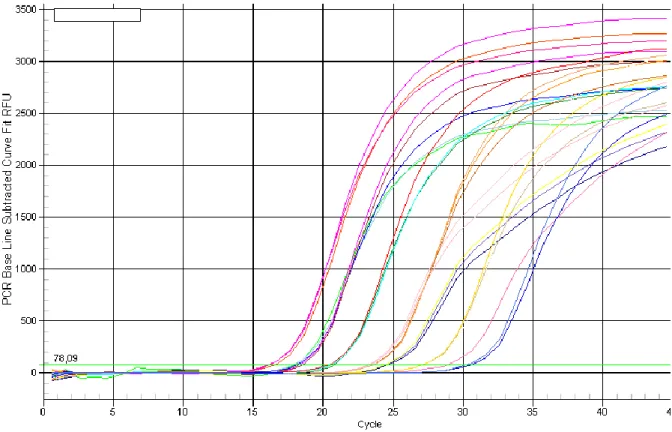 Şekil 9: RT-PCR grafiği. 