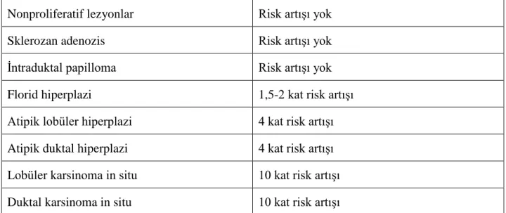 Tablo 2. Benign meme lezyonları ve in situ karsinomanın meme kanseri relatif  riskleri 